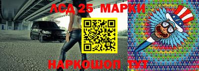 гидропоника Новокубанск