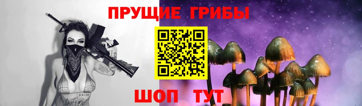 Галлюциногенные грибы GOLDEN TEACHER  Галлюциногенные грибы Magic Shrooms  Вход с VPN  Тайшет 